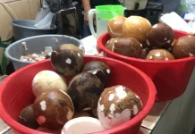 Harga Kelapa Stabil, Pedagang Prediksi Kenaikan Harga H-1 Iduladha