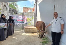 Rutan Banyumas Terima Penyaluran Satu Ekor Sapi Kurban dari PC Wanita Al Irsyad