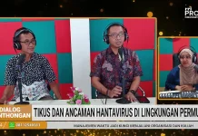 Ancaman Hantavirus di Permukiman Perlu Diwaspadai