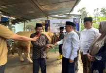 Sekda Banjarnegara Serahkan Sapi 1,2 Ton Bantuan Hewan Kurban Presiden RI