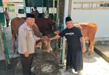 Iduladha, Kapolresta Cilacap Salurkan Hewan Kurban ke Masjid Agung Darussalam