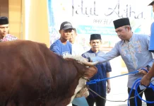 Polres Tegal Salurkan Hewan Kurban kepada Masyarakat dan Pondok Pesantren