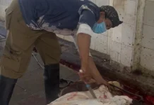 Pemotongan Hewan Kurban di RPH Purbalingga Melonjak Drastis Dibanding Hari Biasa