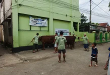 Yayasan Daruljannah Sokaraja Salurkan 626 Kantong Daging untuk Warga