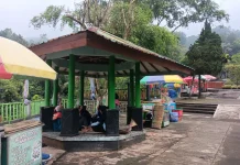 Dari Mendoan hingga Susu Rempah, Kuliner Baturraden Jadi Magnet Wisatawan