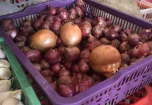 Pasca Iduladha Harga Bawang Merah Melonjak, Bawang Putih Melandai