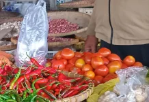 Pasca Iduladha Harga Tomat Masih Stabil di Pasar