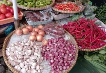 Petani Cabai Banyumas Diminta Siapkan Strategi Hadapi Musim Kemarau