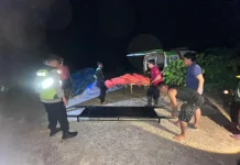 Petani Ditemukan Meninggal Dunia di Sawah saat Dijemput Cucunya