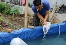 Optimalkan Pembinaan Kemandirian, Rutan Banyumas Tebar Benih Ikan Produktif