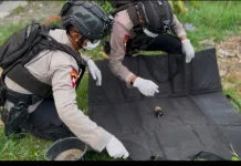 Petani Temukan Granat Nanas di Lahan Jagung Kedungbanteng