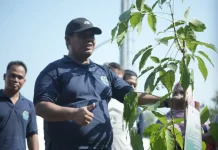 Wabup Kholid Canangkan Satu Rumah Satu Pohon, Ajak Warga Hijaukan Bumi