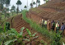 Enam Penggarap Hentikan Perambahan Hutan di Plorengan, Banjarnegara