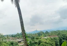 BMKG: Purwokerto Diguyur Hujan Ringan, Waspada Potensi Cuaca Ekstrem