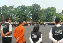 Pelaku Ekonomi Digital Dibidik dalam Sensus Ekonomi 2026