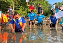 Jaga Lingkungan Pesisir, BPJS Ketenagakerjaan Cilacap Tanam Mangrove