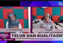 Cara Memilih Telor Berkualitas: Membedakan Telur Segar, Fresh, dan Sudah Lama