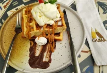 Waffle Ice Cream: Kombinasi Crispy dan Creamy yang Bikin Nagih
