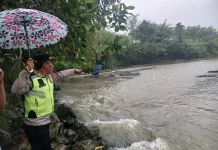Terbawa Arus Sungai Pekacangan, Warga Kejobong Ditemukan Meninggal