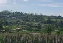 Purwokerto Diprakirakan Berawan, Waspadai Hujan Ringan di Sore Hari