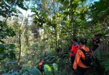 Pencarian Lansia Hilang di Brebes Diperluas Hari Ketiga