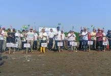 Dies Natalis Pertama UHN Tegal Diisi Penanaman 2.045 Mangrove di Pesisir Brebes
