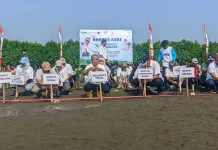 Menteri Lingkungan Hidup Ajak Perkuat Penanaman Mangrove, Tekan Abrasi Pantura