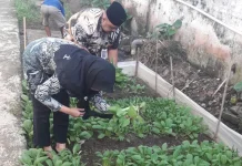 Panen Sayuran Rutan Banyumas Capai 100 Kilogram, Bentuk Program Ketahanan Pangan