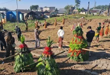 Festival Gunung Slamet Ajak Lestarikan Budaya dan Botani