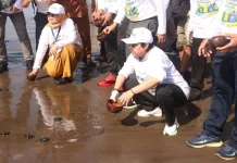 Hari Bebas Kantong Plastik Sedunia, Pemkab Cilacap Lepas Tukik dan Bersih Pantai
