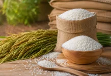 Halo RRI, Bulog Banyumas: Harga Beras SPHP Ikuti Ketetapan Bapanas
