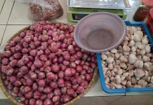 Harga Bawang Naik, Pedagang Sebut Fluktuasi Masih Wajar