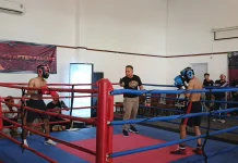 Pembinaan Atlet Jadi Kunci Mengangkat Prestasi Banyumas di Ajang Combat Sport