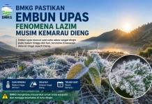 Embun Upas Kembali Muncul, BMKG Sebut Fenomena Alam Musiman