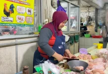 Harga Ayam Naik jelang Masuk Sekolah, Pedagang Sebut Bukan Dampak Program MBG