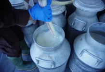BBPTU-HPT Baturraden Catat Lonjakan Produksi, Perkuat Dukungan MBG