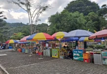 Libur Sekolah Dongkrak Pendapatan UMKM di Lokawisata Baturraden
