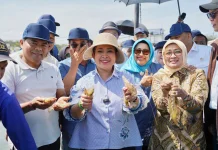 Kunjungi BUBK Kebumen, Titiek Soeharto Puji Kualitas Udangnya