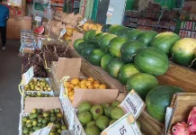 Toko Buah Kian Berkembang Berkat Dukungan Konsumen Setia