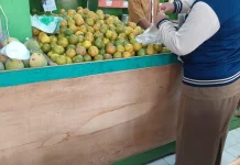 Meningkatkan Konsumsi Buah Investasi Kesehatan Jangka Panjang