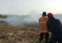 BPBD Banyumas Waspadai Potensi Karhutla Selama Musim Kemarau