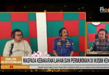 BPBD Banyumas Imbau Masyarakat Waspadai Kebakaran Lahan Selama Musim Kemarau