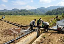 Halo RRI: Permohonan Irigasi Darurat, DPUPR Akan Koordinasi dengan Dinas Pertanian