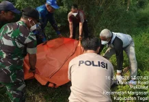 Lansia Ditemukan Meninggal di Area Persawahan Margasari