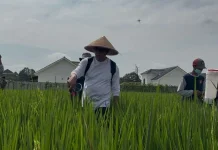Pertanian Modern Jadi Fokus, Banyumas Siap Dukung Peningkatan Produksi