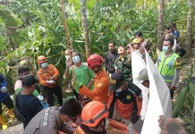Proses Evakuasi Jenazah Lansia di Pohon Kelapa Libatkan Tim Gabungan