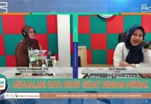 Hidup Sehat dengan Herbal: Kembali ke Alam untuk Kualitas Hidup yang Lebih Baik