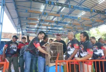 Ribuan Kicau Mania Ramaikan Kapolresta Cilacap Cup, Semarakkan Hari Bhayangkara