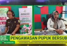 Kejaksaan Awasi Penyaluran Pupuk Bersubsidi agar Tepat Sasaran