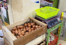Harga Telur di Pasar Manis Naik, Pedagang Sebut Permintaan Meningkat